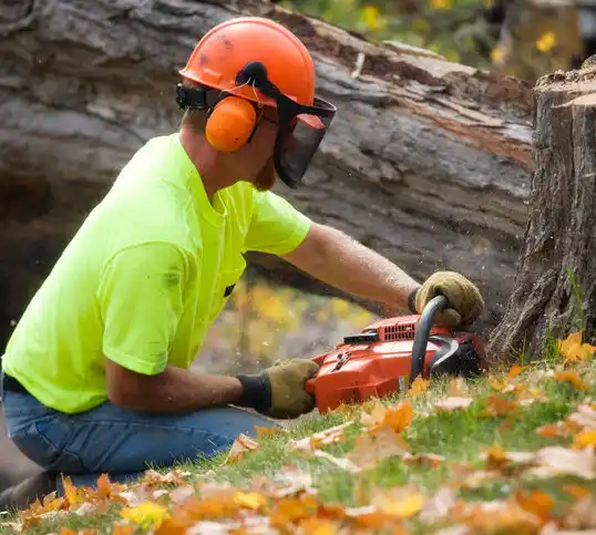 tree services Coram